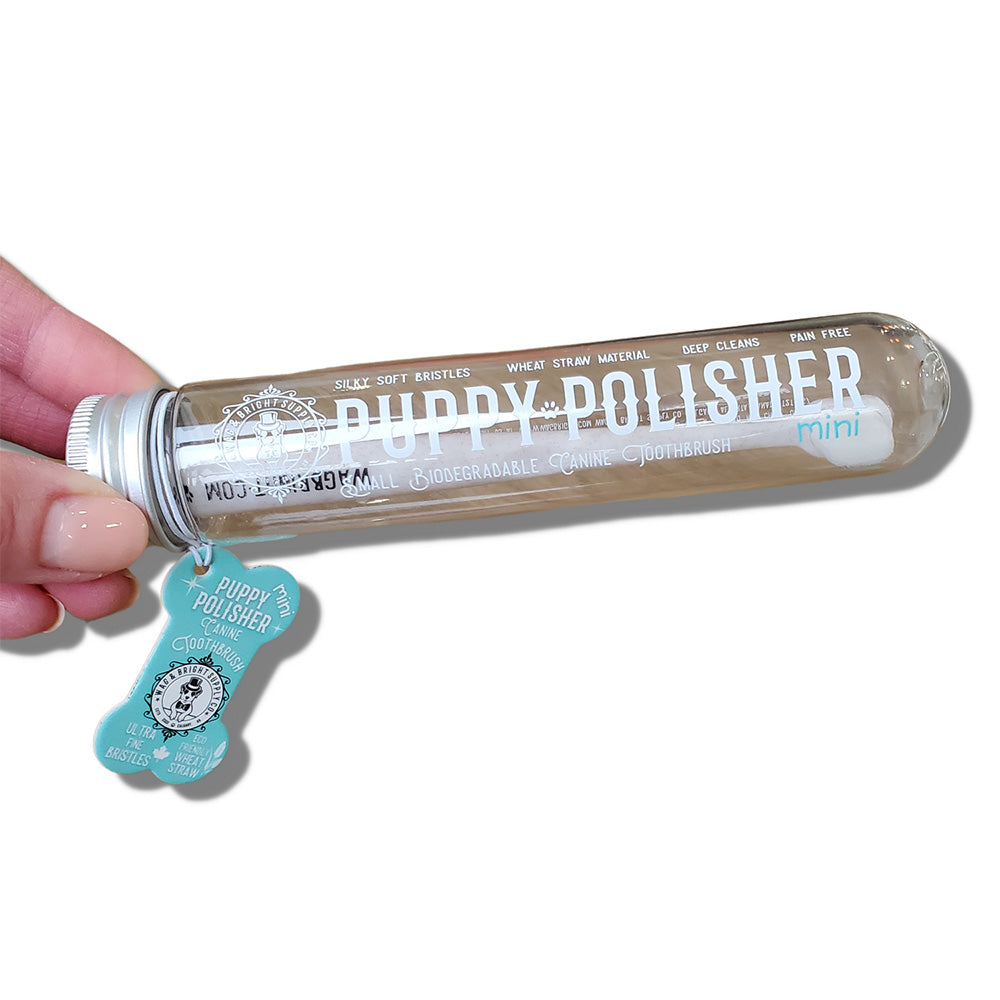 Puppy Polisher Mini Biodegradable Toothbrush